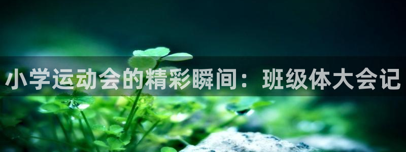 沐鸣4代理