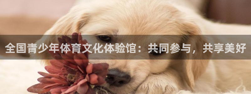 意昂注册