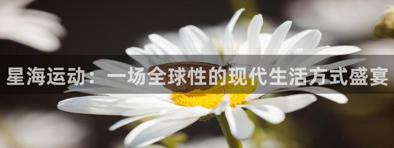 沐鸣招商