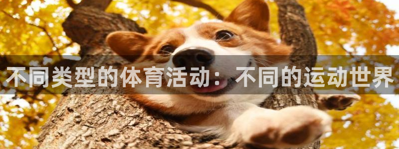 沐鸣2官网