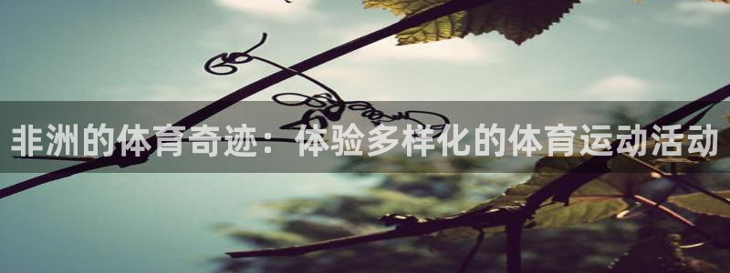 意昂招商